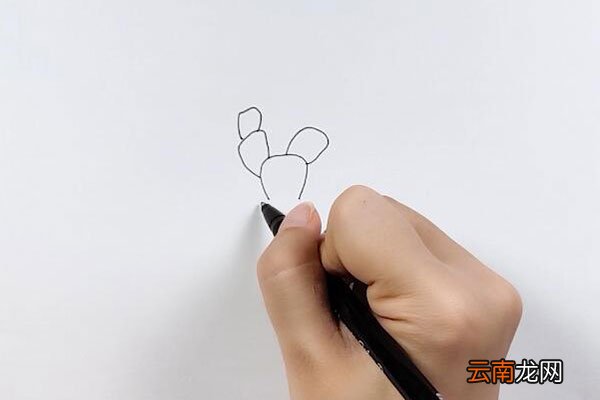 仙人掌图片简笔画