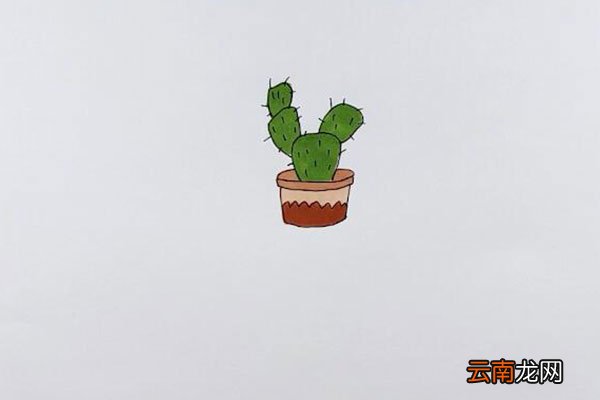 仙人掌图片简笔画