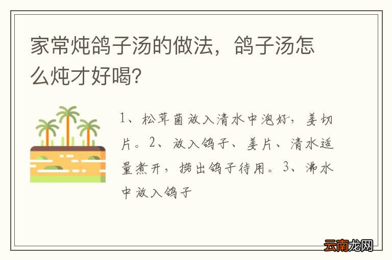 家常炖鸽子汤的做法，鸽子汤怎么炖才好喝？