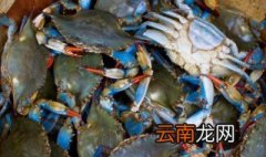 小活蟹怎么清洗处理，小螃蟹如何清洗处理