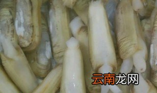 如何清洗蛏子王 蛏子王怎么处理清洗干净