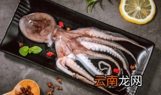 活八爪鱼怎么清洗处理 活八爪鱼如何清洗