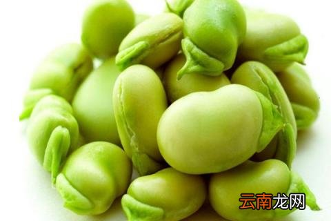 茴香豆是什么豆
