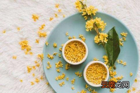 怎么快速的挑桂花杂质