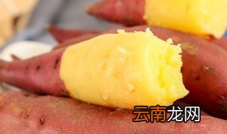 番薯是双子叶植物还是单子叶植物 番薯属于双子叶植物还是单子叶植物