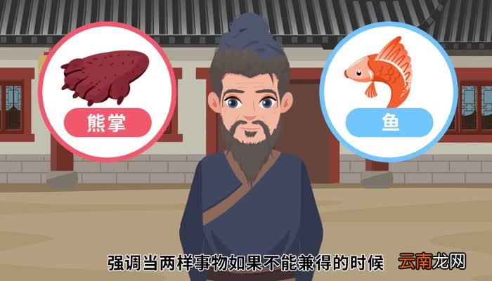 鱼和熊掌不可兼得是什么意思 鱼和熊掌不可兼得的意思