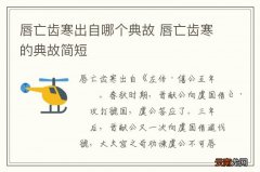 唇亡齿寒出自哪个典故 唇亡齿寒的典故简短