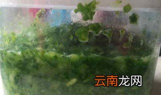 客家腌酸菜的做法 客家腌酸菜怎么做
