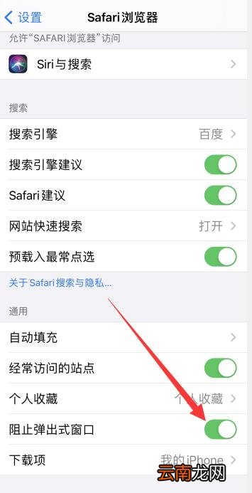 粘贴自safari浏览器弹窗怎么关闭