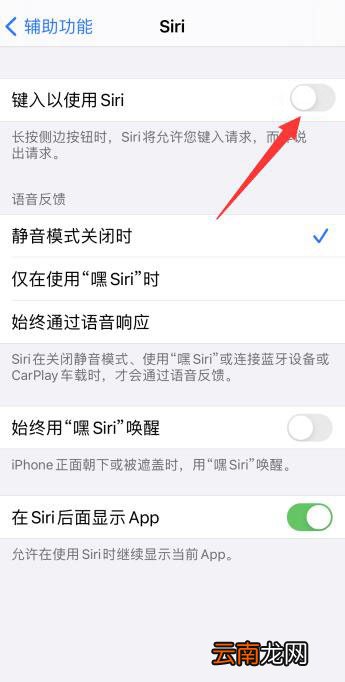iPhone11siri唤醒后不说话