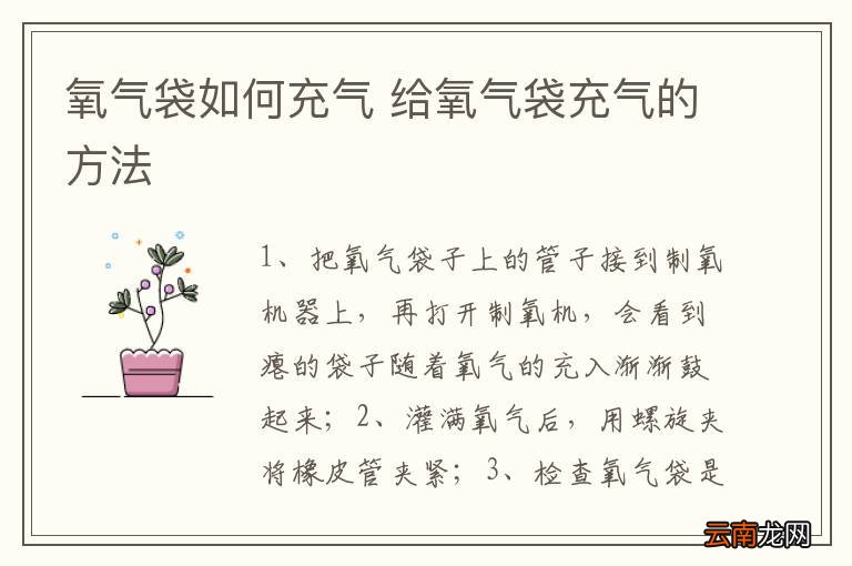 氧气袋如何充气 给氧气袋充气的方法