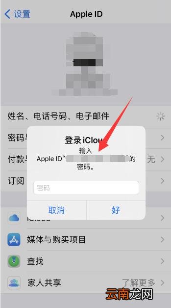 怎么查看自己的iPhoneID