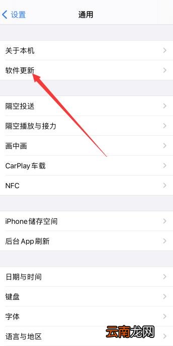 iPhone屏幕乱跳间歇性失灵