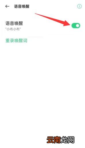 oppo有没有语音助手