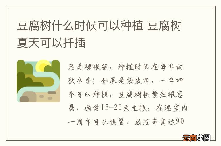 豆腐树什么时候可以种植 豆腐树夏天可以扦插