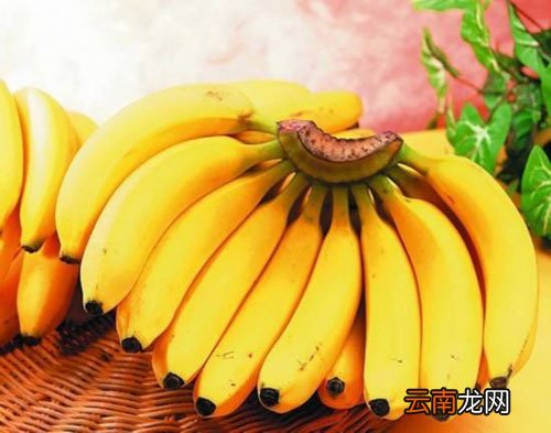 香蕉什么时候吃最好 吃香蕉的最佳时间