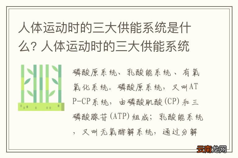 人体运动时的三大供能系统是什么? 人体运动时的三大供能系统有哪些?