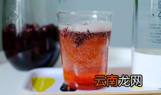 自制苏打水配方 在家也能做出好喝的饮品