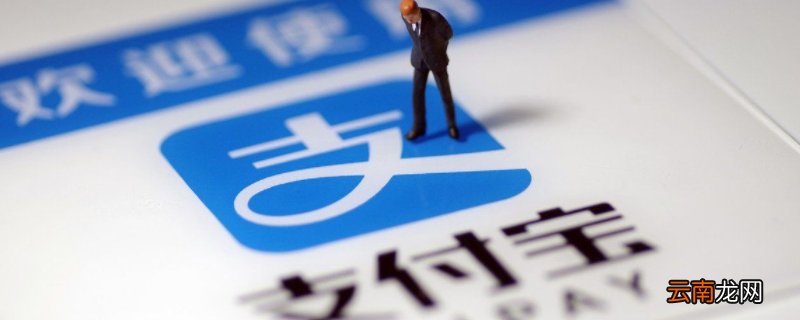 支付宝姓名是什么