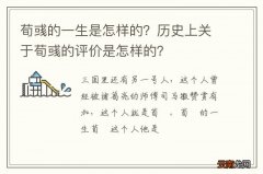 荀彧的一生是怎样的？历史上关于荀彧的评价是怎样的？