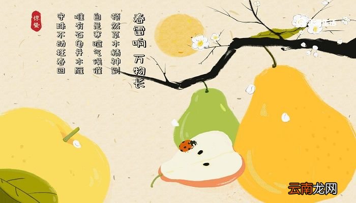 描写惊蛰节气的古诗 有哪些关于惊蛰的诗句