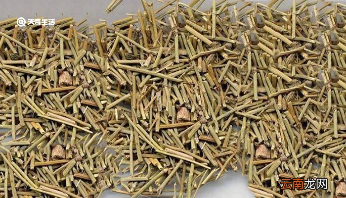 麻黄碱是从什么植物中提炼出来的 麻黄碱从哪里提炼出来的