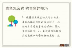 青鱼怎么钓 钓青鱼的技巧
