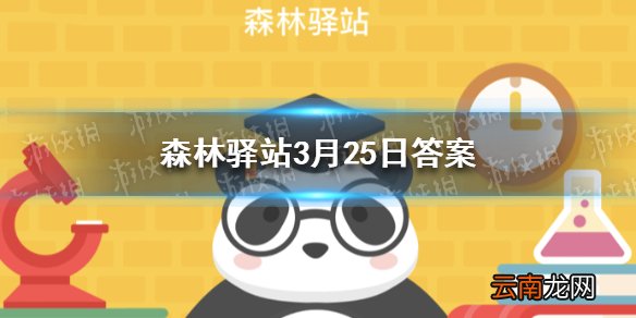 小熊猫的毛色以什么颜色为主 森林驿站3月25日答案