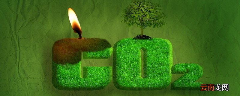 碳在生物群落与无机环境之间的流动形式是 碳在生物群落内部循环形式