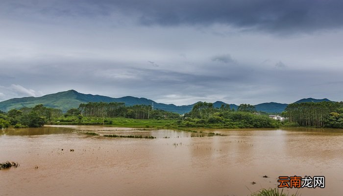 雨水是酸性还是碱性 雨是酸性吗