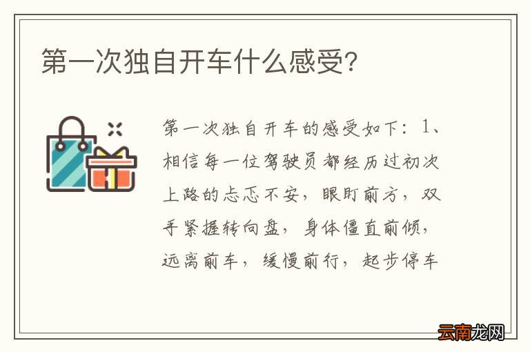 第一次独自开车什么感受?