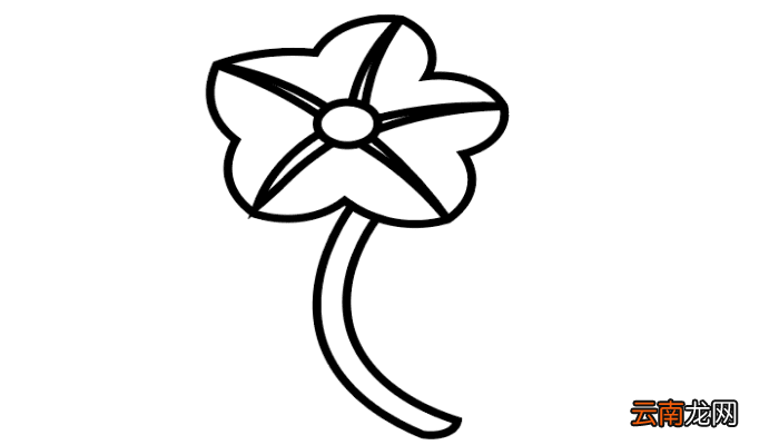 月光花简笔画 月光花简笔画怎么画