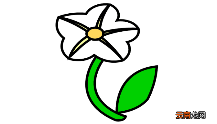 月光花简笔画 月光花简笔画怎么画