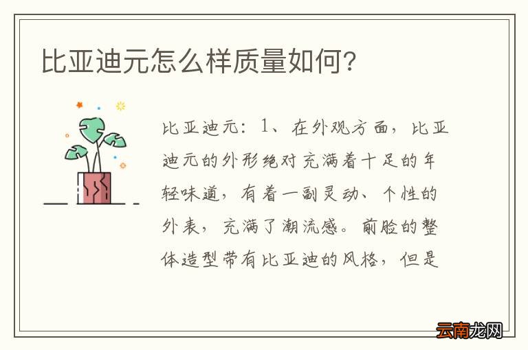 比亚迪元怎么样质量如何?