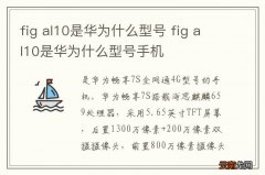 fig al10是华为什么型号 fig al10是华为什么型号手机