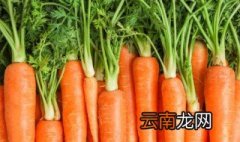 炒萝卜丝怎么炒好吃 炒萝卜丝好吃的炒法