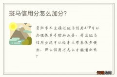 斑马信用分怎么加分？