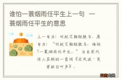 谁怕一蓑烟雨任平生上一句一蓑烟雨任平生的意思