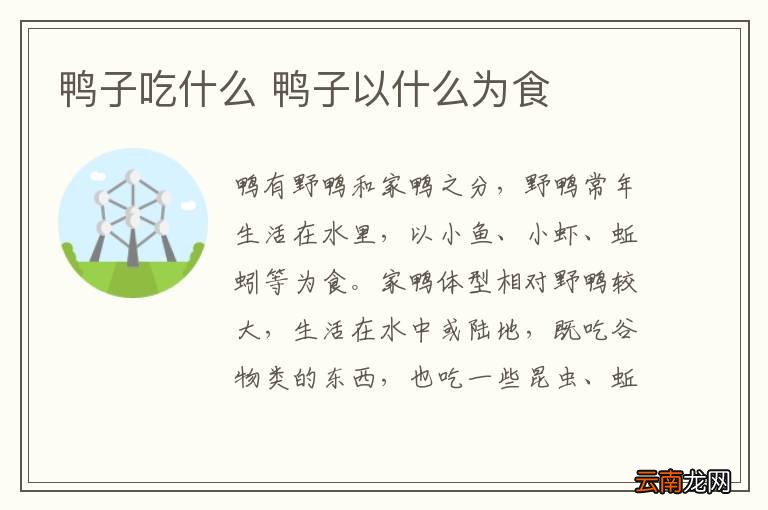 鸭子吃什么 鸭子以什么为食