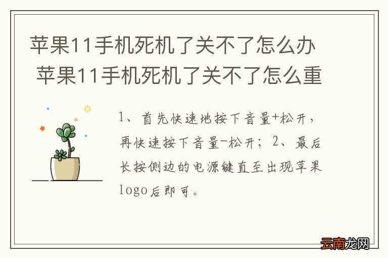 苹果11手机死机了关不了怎么办 苹果11手机死机了关不了怎么重启