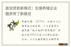 首创贷款新模式！生猪养殖企业融资有了新路径