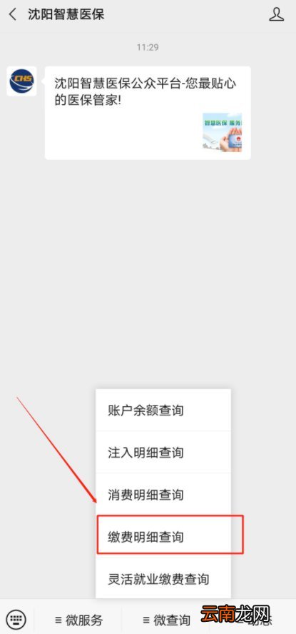 沈阳城乡居民医保网上查询指南