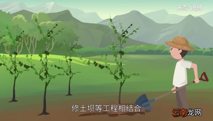 黄土高原水土流失的原因 黄土高原水土流失严重的原因分析