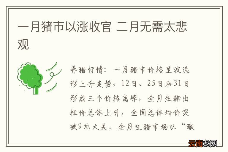 一月猪市以涨收官 二月无需太悲观