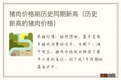 历史新高的猪肉价格 猪肉价格刷历史同期新高
