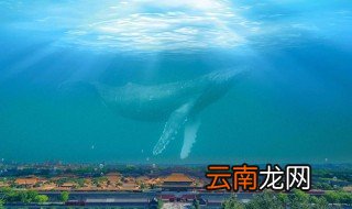 北冥有鱼原文带拼音 北冥有鱼原文注释