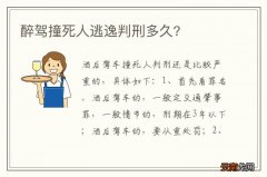 醉驾撞死人逃逸判刑多久?