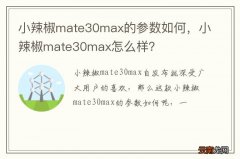 小辣椒mate30max的参数如何，小辣椒mate30max怎么样？