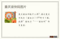 重庆渝快码图片