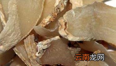 天麻的副作用及食用天麻的注意事项